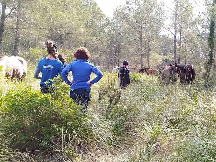 Fundació Miranda voluntariat