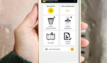 Mosquito alert mobil