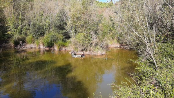 Naturalistess de Girona a la bassa de la Vall de Sant Daniel