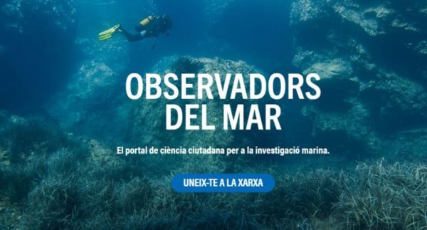 Observadors del Mar