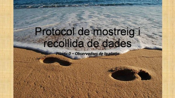 mostreig de microplastics