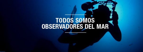 observadores del mar