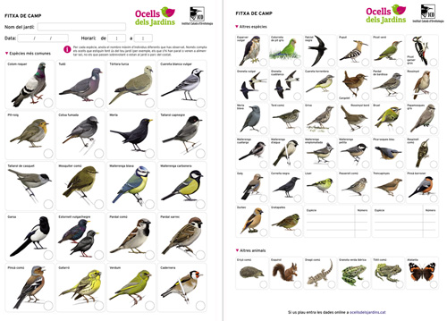 ocells de jardí fitxa