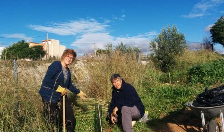 Voluntariat ambiental amb l'Ortoll