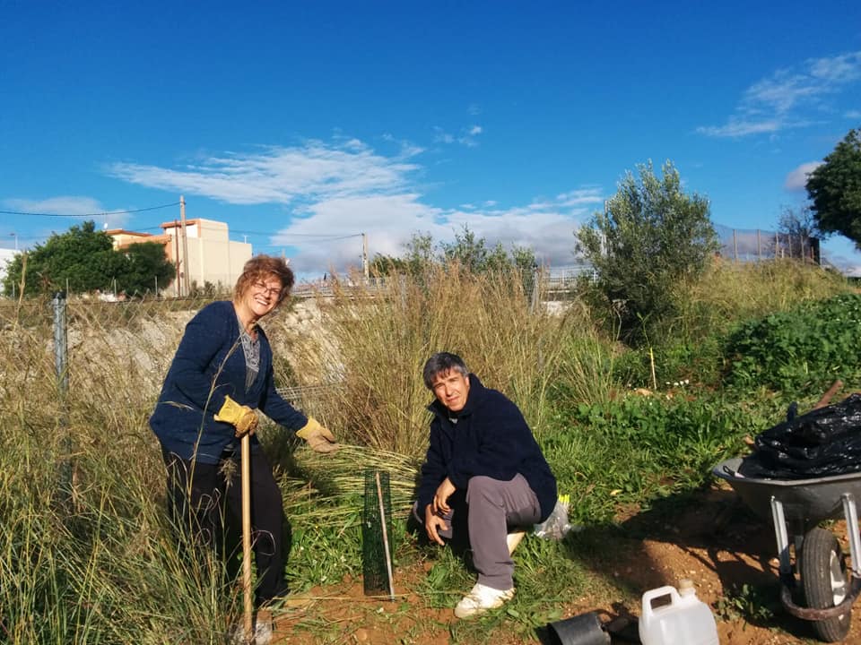 Voluntariat ambiental amb l'Ortoll