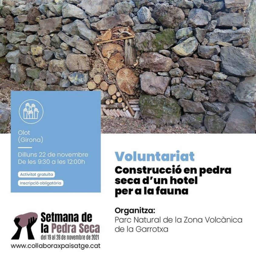 voluntariat pedra seca