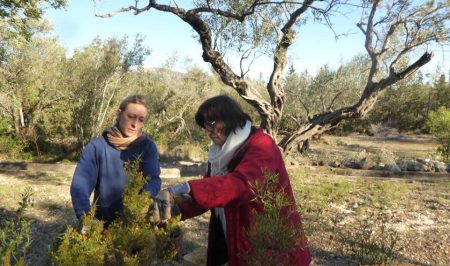 permacultura penyaflor