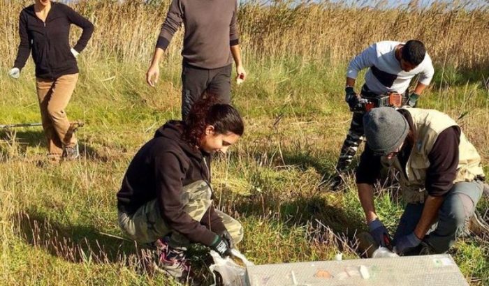 Picampall voluntariat ambiental a l'Alfacada