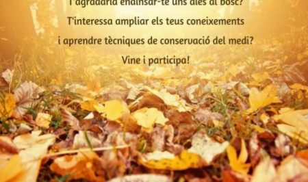 Voluntariat ambiental a Poblet amb el Gepec