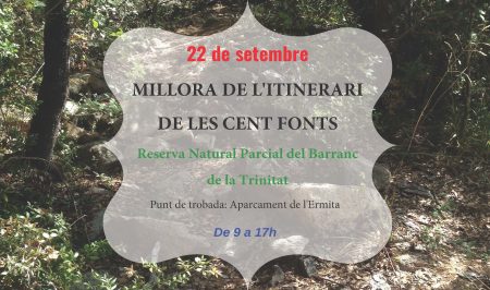 Voluntariat forestal a Poblet amb el Gepec