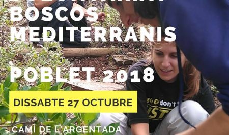 Voluntariat ambiental a Poblet amb el Gepec