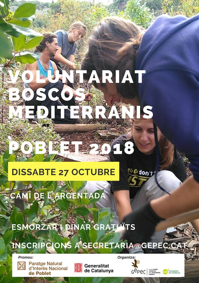 Voluntariat ambiental a Poblet amb el Gepec