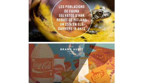 Informe Natura i Brand Audit