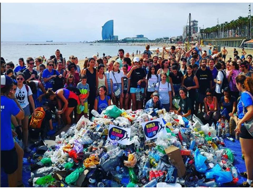 Neteja platja Proartso