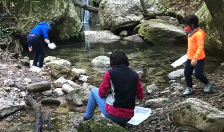 projecte rius vilanova de sau