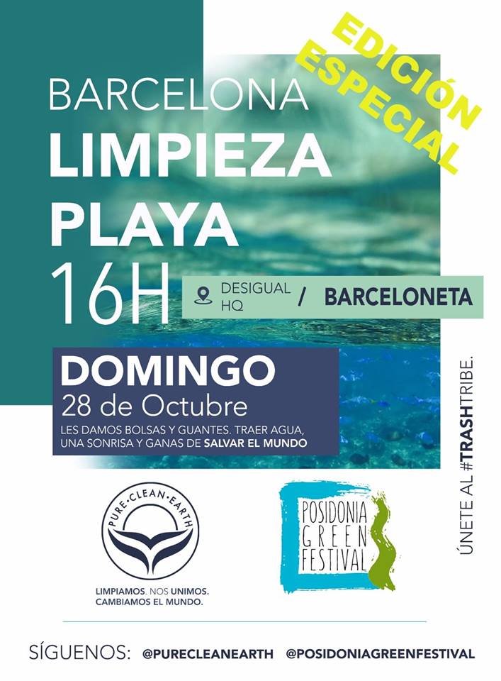 voluntariat de Pure Clean Earth