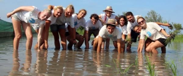 Voluntariat ambiental a Riet Vell