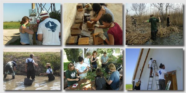 Voluntariat ambiental a Riet Vell