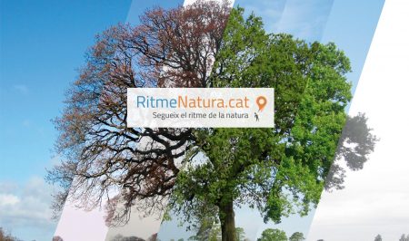 ritme natura 3