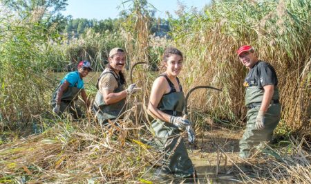 voluntariat ambiental a la Reserva Natural de Sebes
