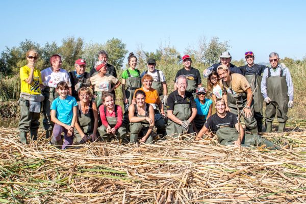 sebes flix 13 octubre