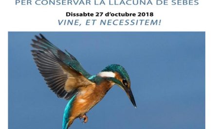 Voluntariat ambiental a la Reserva Natural de Sebes