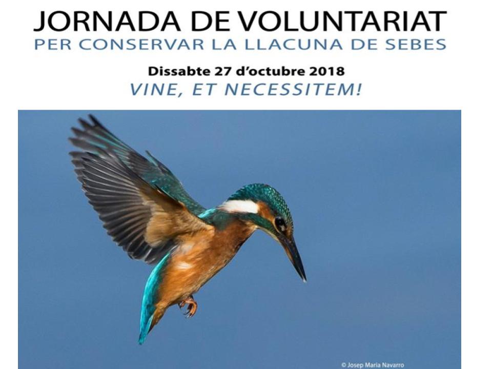 Voluntariat ambiental a la Reserva Natural de Sebes