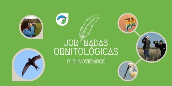 SEO Birlife Jornadas Ornitologicas