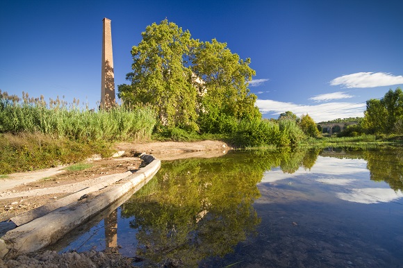 sinia catllar Interior-zona-humida-el-Catllar