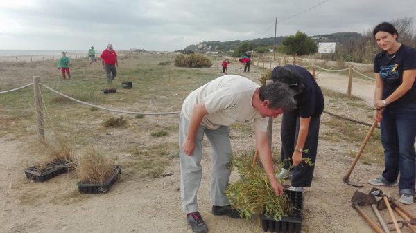 Voluntariat a la platja d'Altafulla