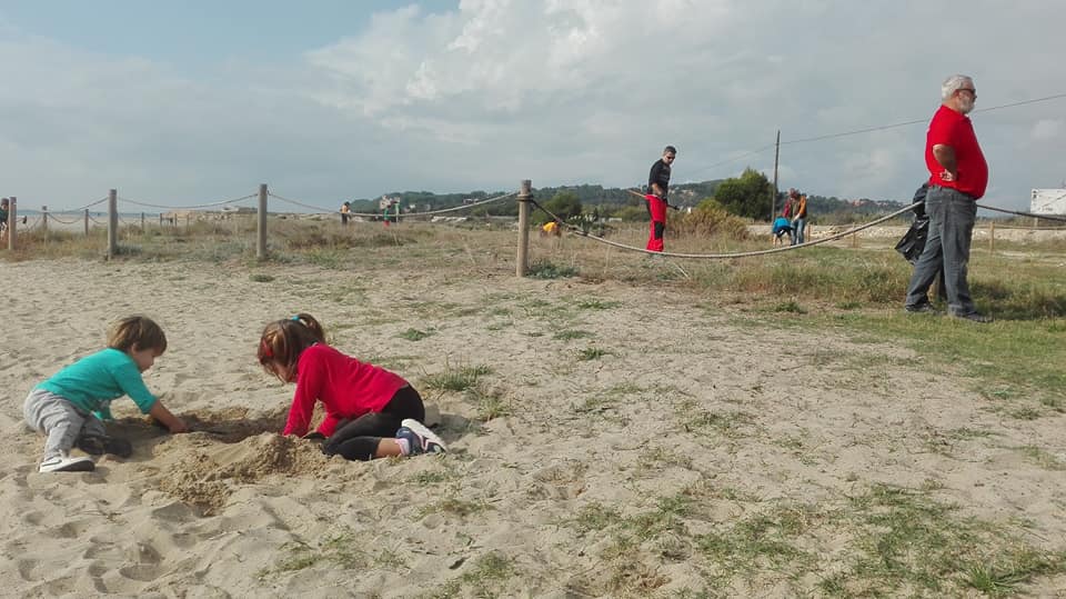 Voluntariat a les dunes d'Altafulla