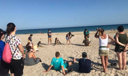 sinia voluntariat tortuga