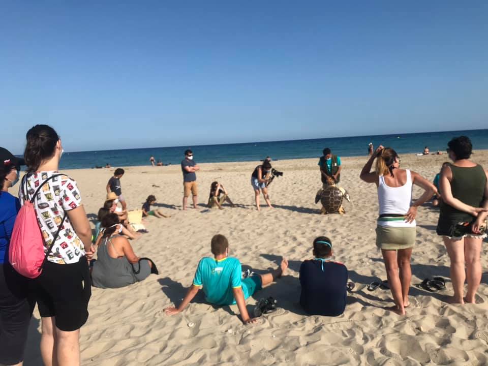 sinia voluntariat tortuga