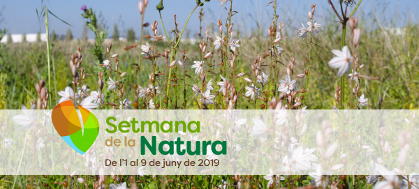 Setmana de la Natura