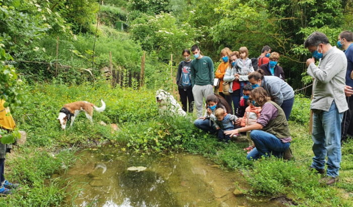 Territori Salamandra Associació Mediambiental La sinia