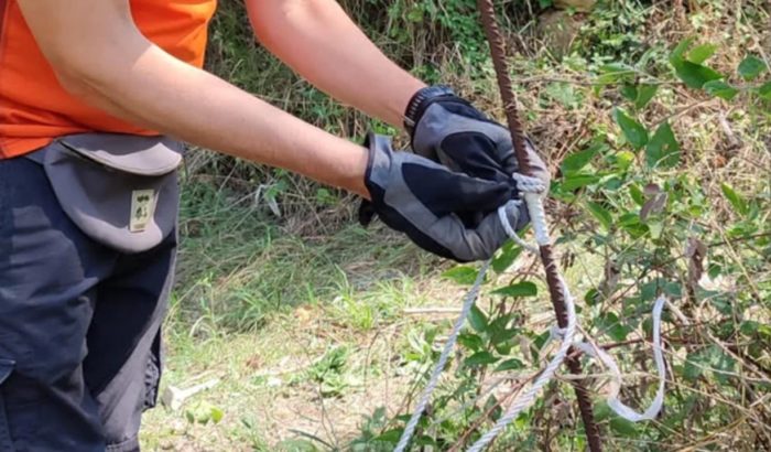 Tancat Fundació Miranda