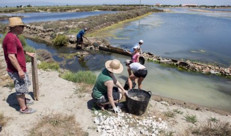 voluntariat Delta Ebre