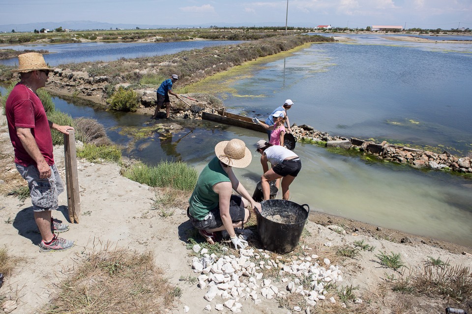 voluntariat Delta Ebre