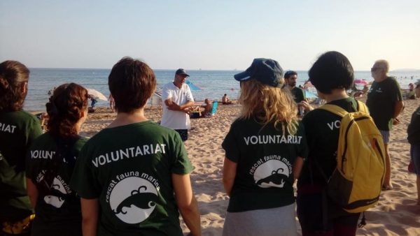 voluntariat per la tortuga babaua