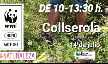 Voluntariat ambiental a Collserola