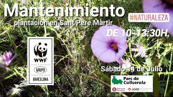 Voluntariat ambiental a Collserola