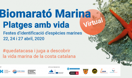 Biomarato Marina Virtual