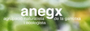 Logo ANEGX