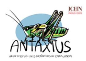 Logo Antaxius