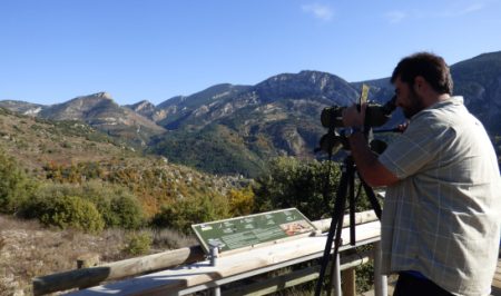 Voluntariat ambiental forestal amb la Fundació Catalunya La Pedrera