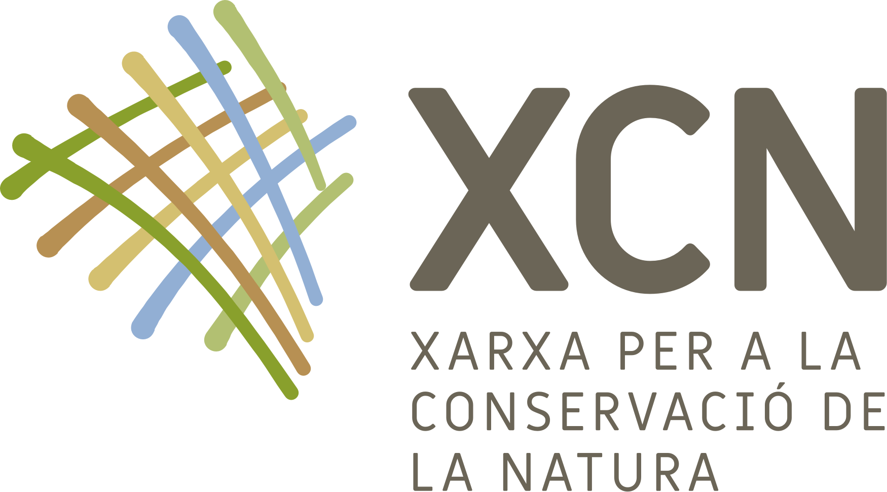 logo XCN