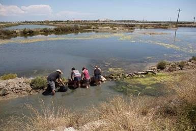 Voluntariat ambiental a la llacuna de la Tancada