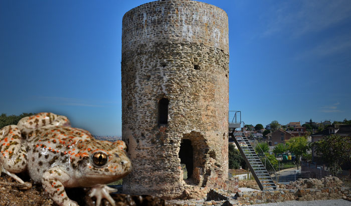 Torre Benviure La Rutlla
